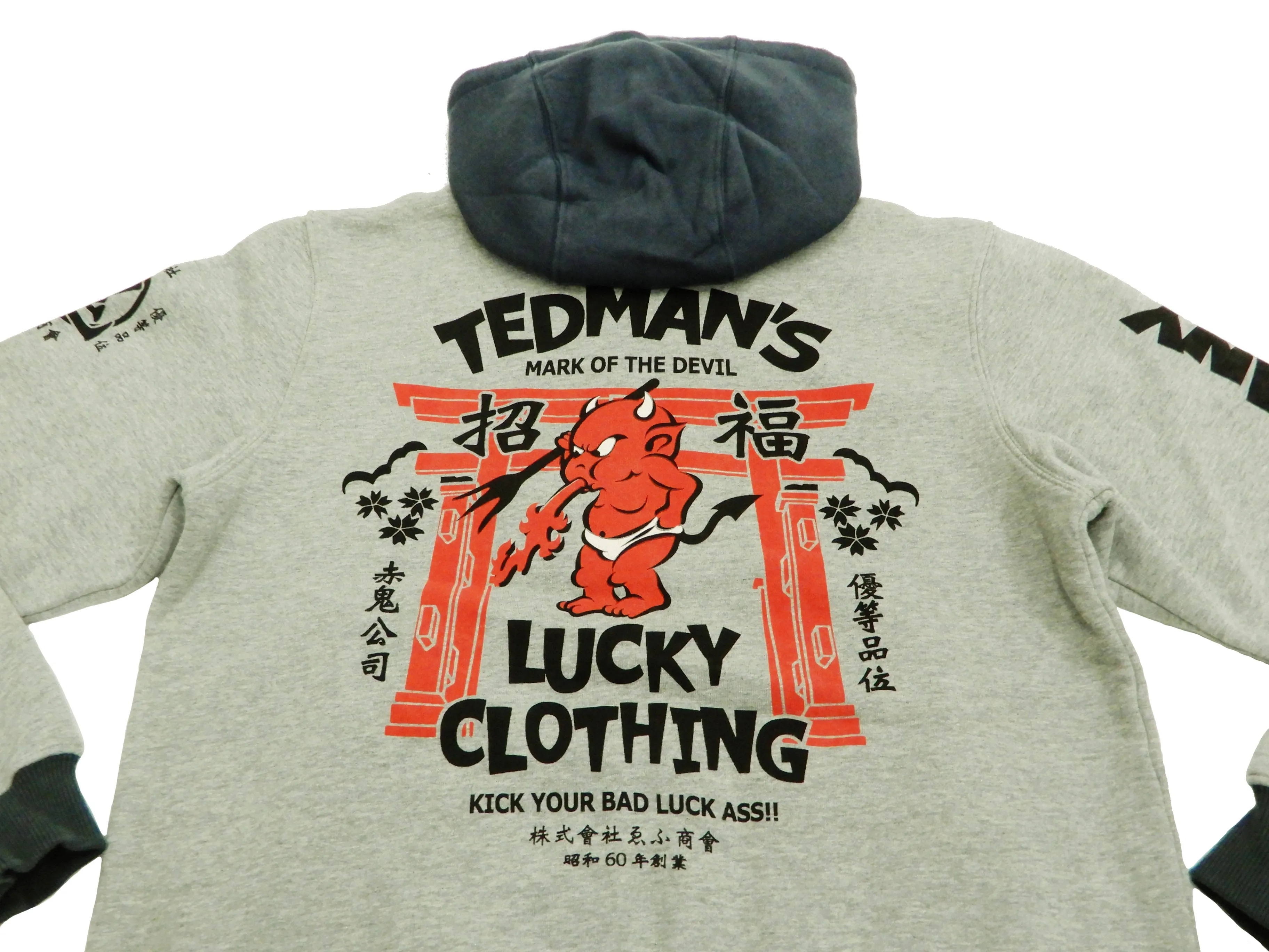 Tedman Hoodie Men's Casual Full Zip Hoodie Zip-Up Printed Hooded Sweatshirt TDSP-149 Ash-Gray